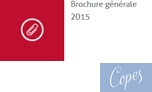 vignette_brochure_2015.jpg