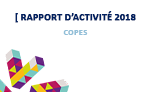 copes_rapport_activite_2018.png