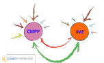 evaluationinterne_cmpp_commune_ime.gif