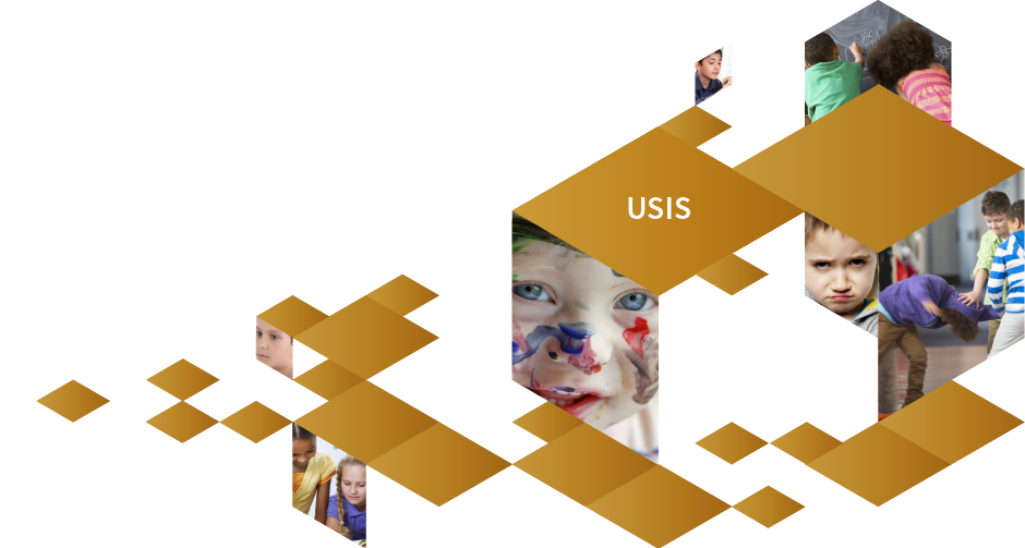 schema_usis.png