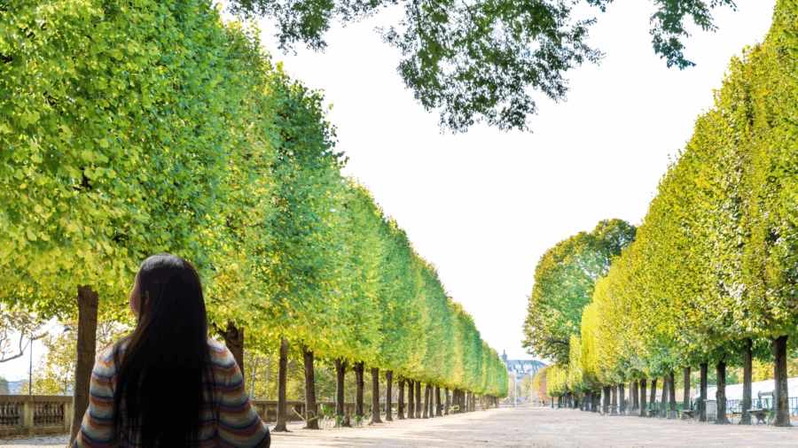 Dehors ! par Moïra Vassal