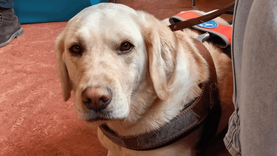 Marie et Oly à l&rsquo;hôpital de jour Raymond Cahn