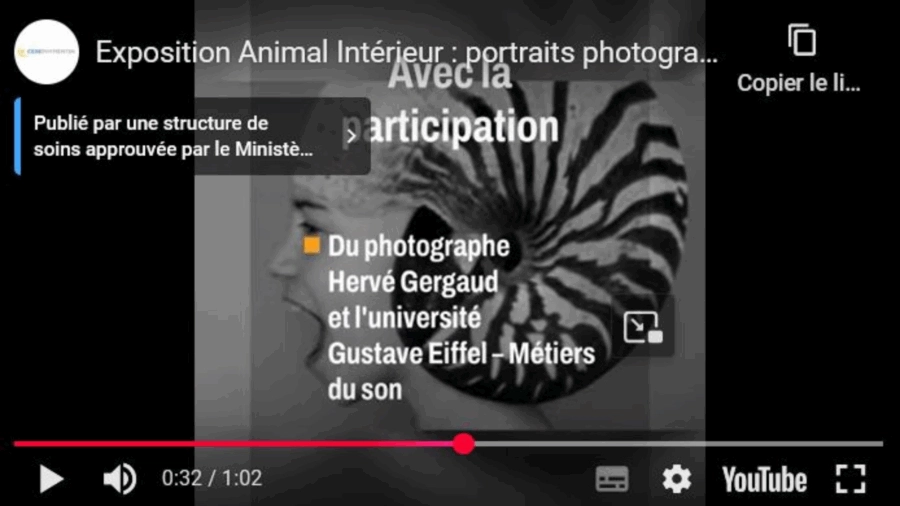 IME &#8211; L&rsquo;exposition Animal intérieur