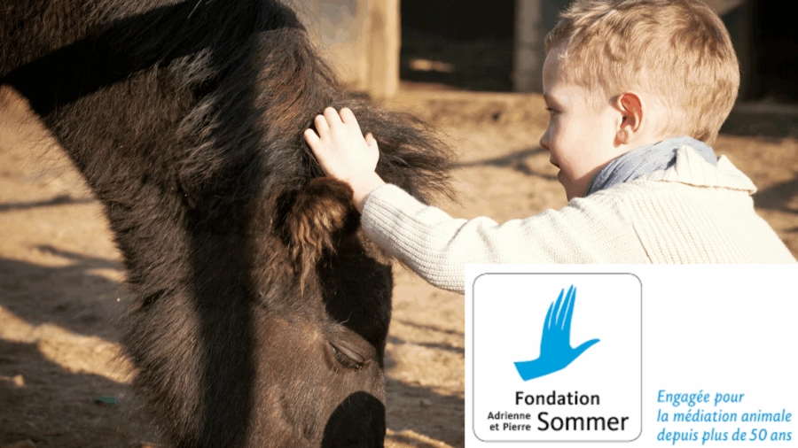 Troubles envahissants du développement et médiation équine