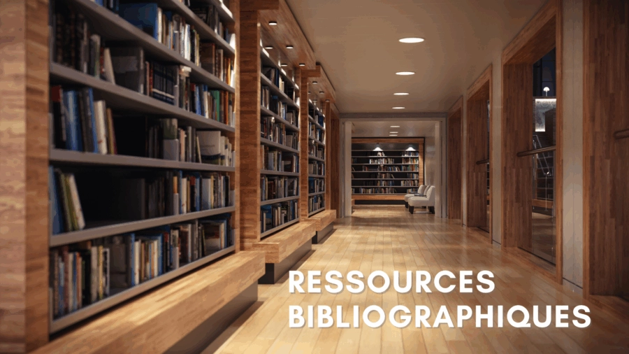 Bibliographie sur le travail institutionnel