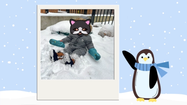 Un début d’année imprévisible et surprenant